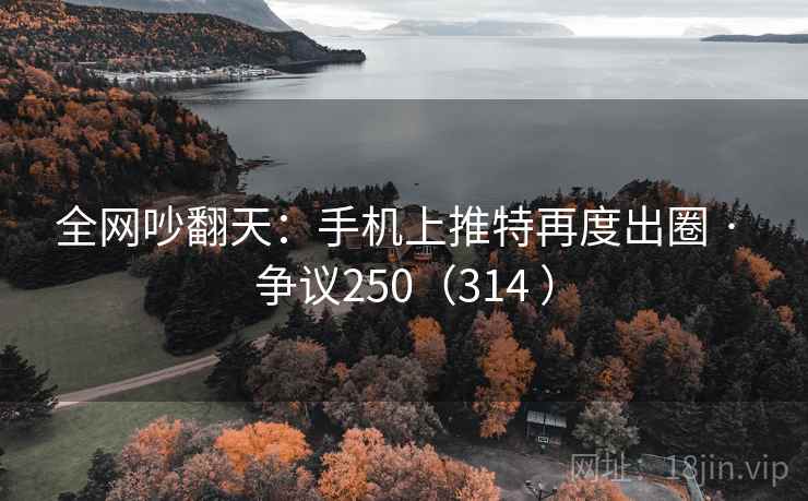 全网吵翻天：手机上推特再度出圈 · 争议250（314 ）