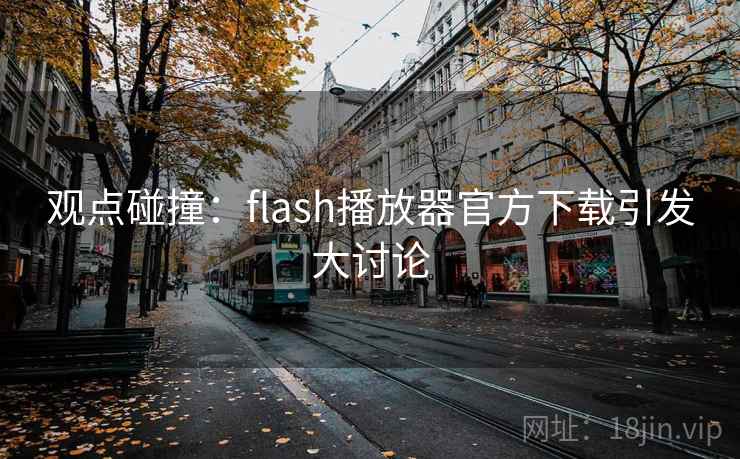 观点碰撞：flash播放器官方下载引发大讨论