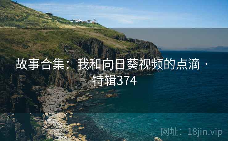 故事合集：我和向日葵视频的点滴 · 特辑374  第2张